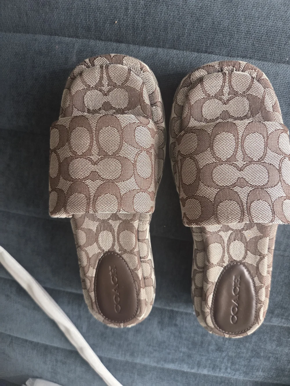 Coach Signature Canvas Slide Sandals in Brown